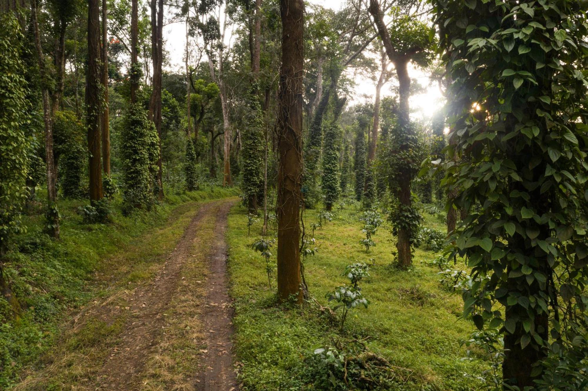 Hotel Tusker Trail By Luxunlock Suntikoppa Esterno foto